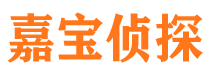 龙山侦探公司